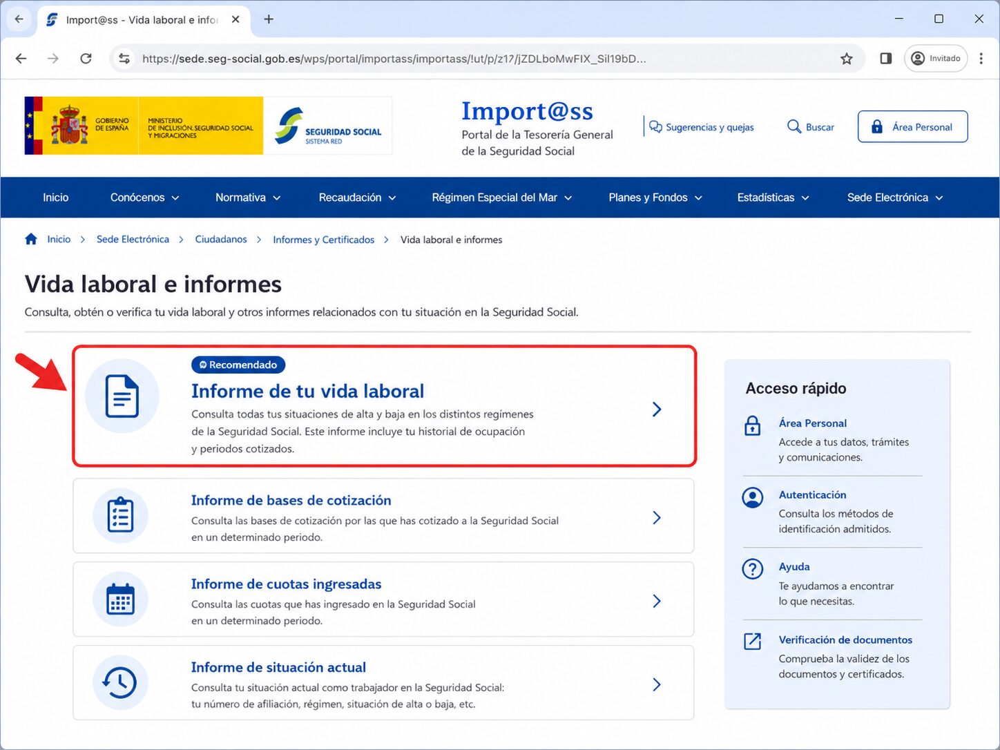 Opción Informe de tu vida laboral en Importass